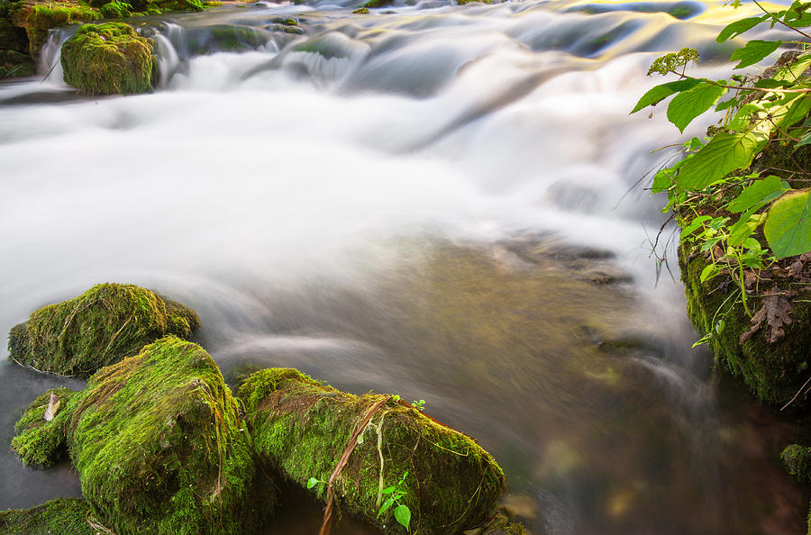 Moss Photograph - Mossy Stones Flowing River by Gregory Ballos