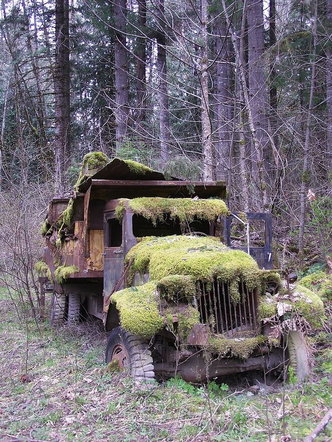 Mossy Truck Photograph by Gene Ritchhart