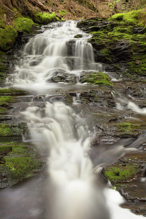 Mossy Waterfalls  Photograph by Irwin Barrett
