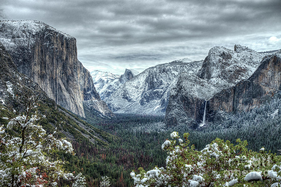 Most Beautiful Yosemite National Park Tunnel View Photograph