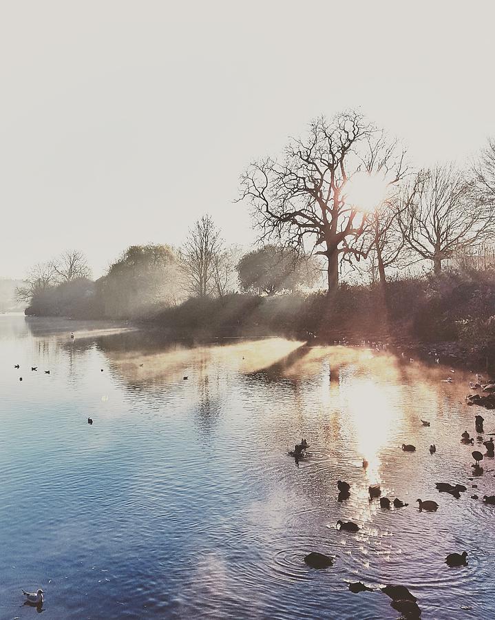 Landscape Photograph - Mote Park Winter Morning by Stuart Ellesmere Landscape Photograph - Mote Park Winter Morning by Stuart Ellesmere