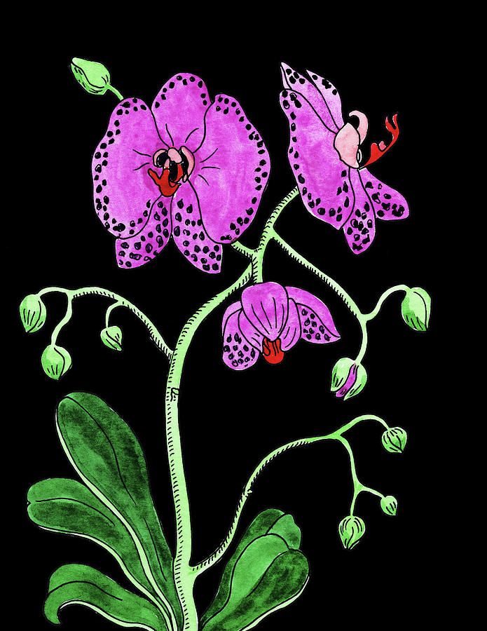 Moth Orchid Flower Watercolour  Painting by Irina Sztukowski