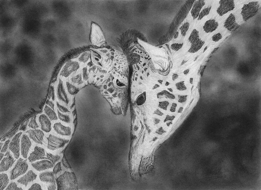 Giraffe drawing,Mother and Baby Giraffe drawing Giraffe Drawing,Mothers Love African Wildlife drawing Wildlife Art Nursery Decor