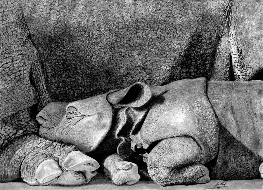 Mother and Baby Rhinoceros Drawing by James Schultz