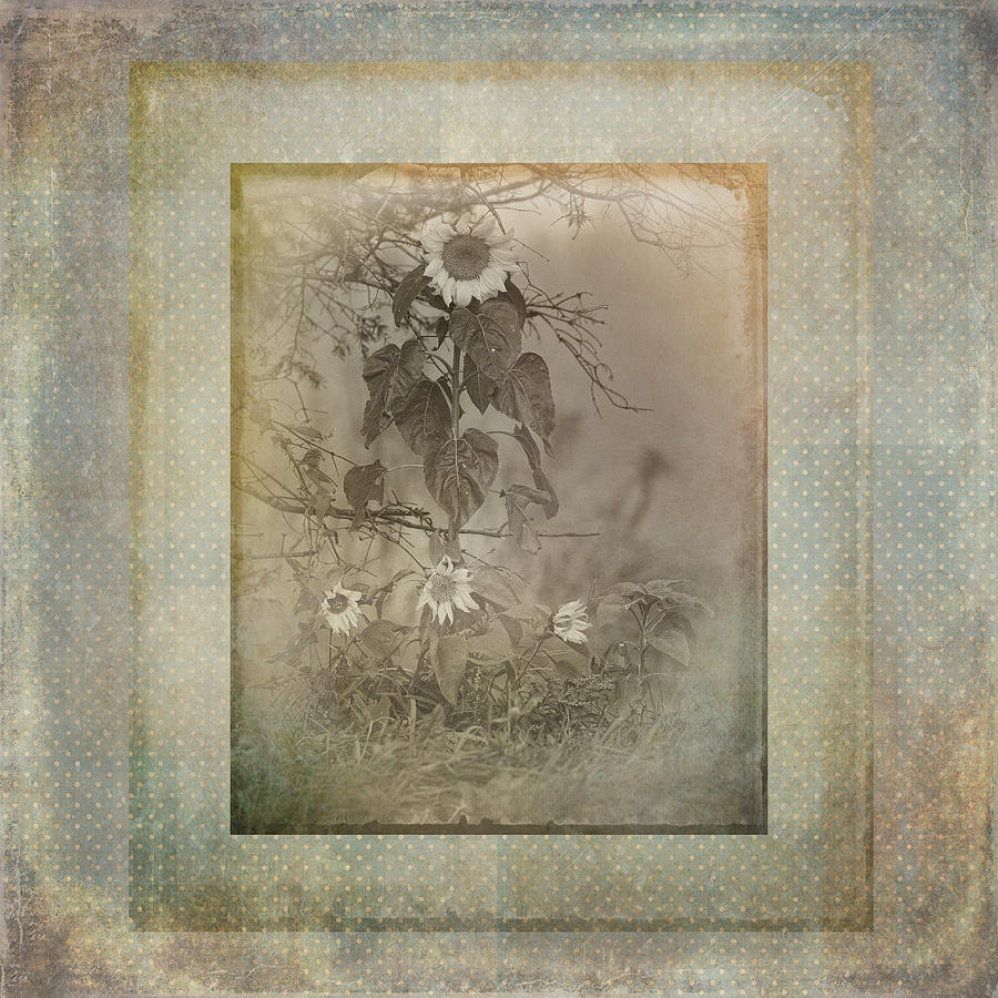 Mother And Child Reunion vintage frame Photograph by Sue Capuano