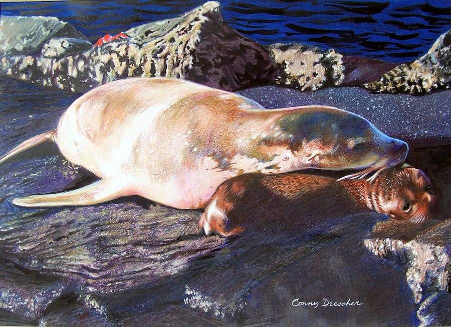 Mother and Child Sea Lion Mixed Media by Constance Drescher