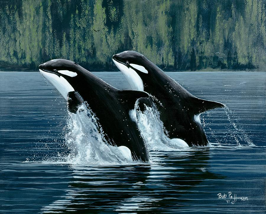 Whale Painting - Mother and Son Orcas by Bob Patterson