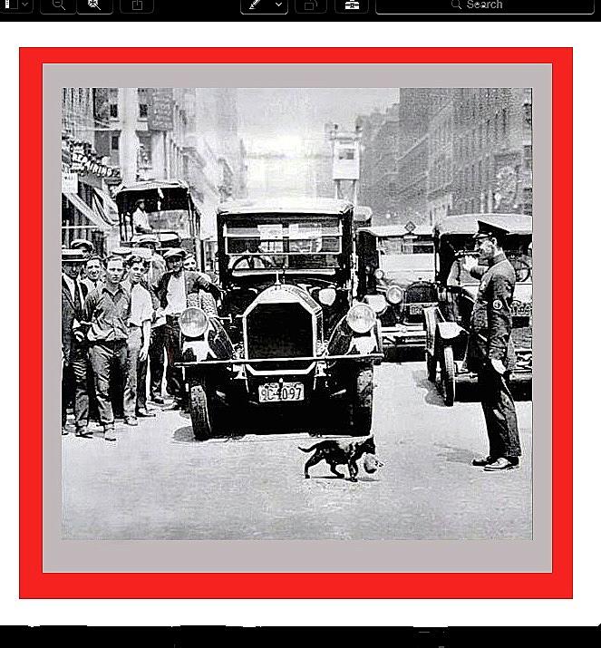 Mother Cat And Kitten Holding Up Traffic Unknown Locale Circa 1925 Color And Frames Added 2016 Photograph