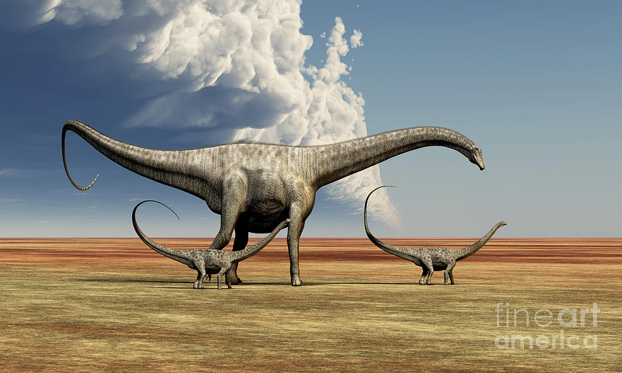 Mother Diplodocus Dinosaur Walks Digital Art by Corey Ford