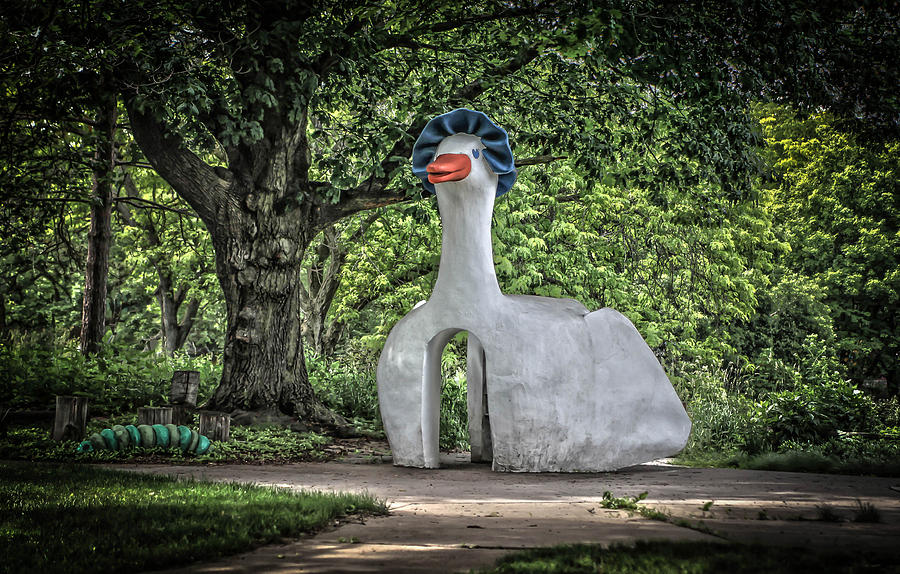 Goose Photograph - Mother Goose by Ray Congrove
