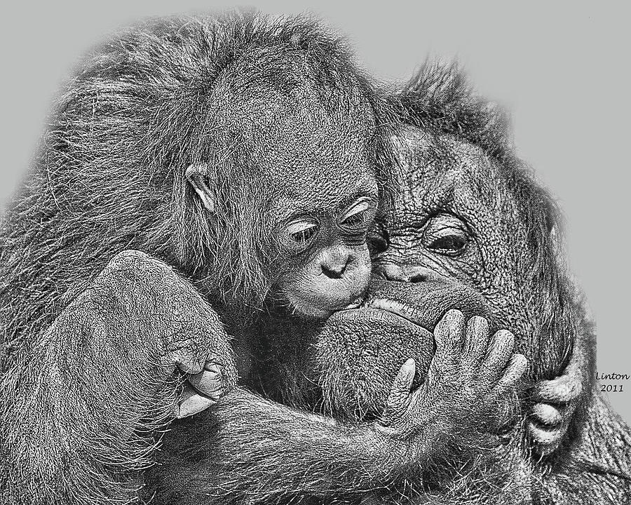 Mother Love Digital Art by Larry Linton