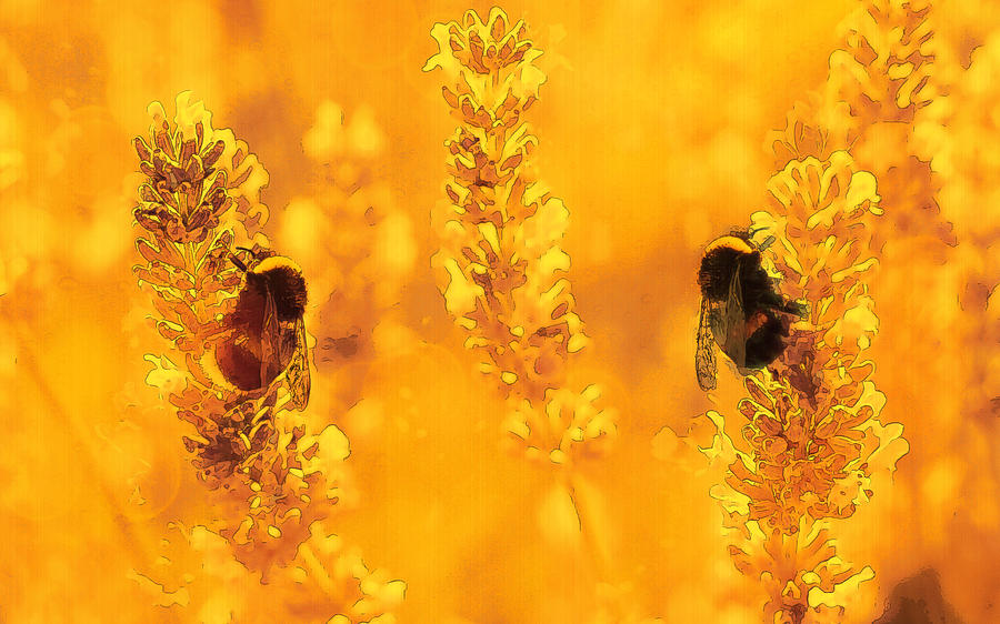 Nature Digital Art - Two Bumble Bees Gathering Pollen by Andrew David Photography