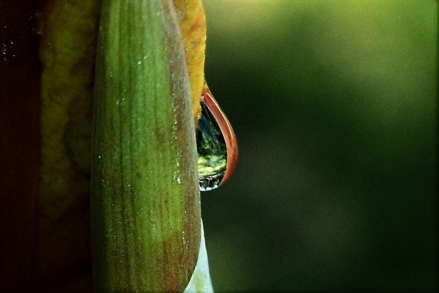 Mother Natures Tears Photograph by John Glass
