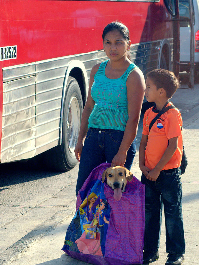 Mother Son And Dog In A Bag Photograph by Douglas Pike
