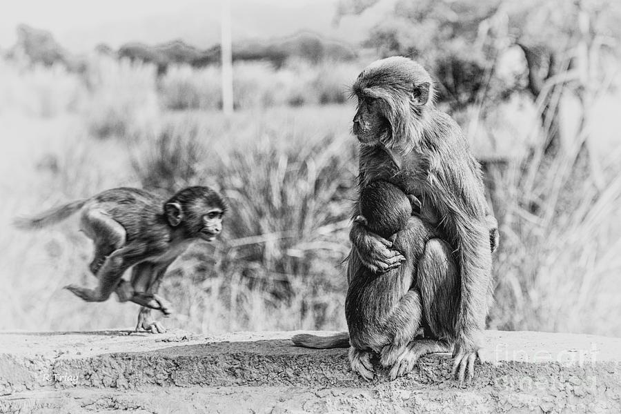 Motherly Nurturing Love Photograph by Rene Triay FineArt Photos