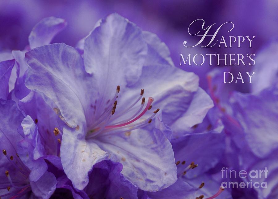 Mothers Day Card - Lavender Star Photograph by Patricia Strand
