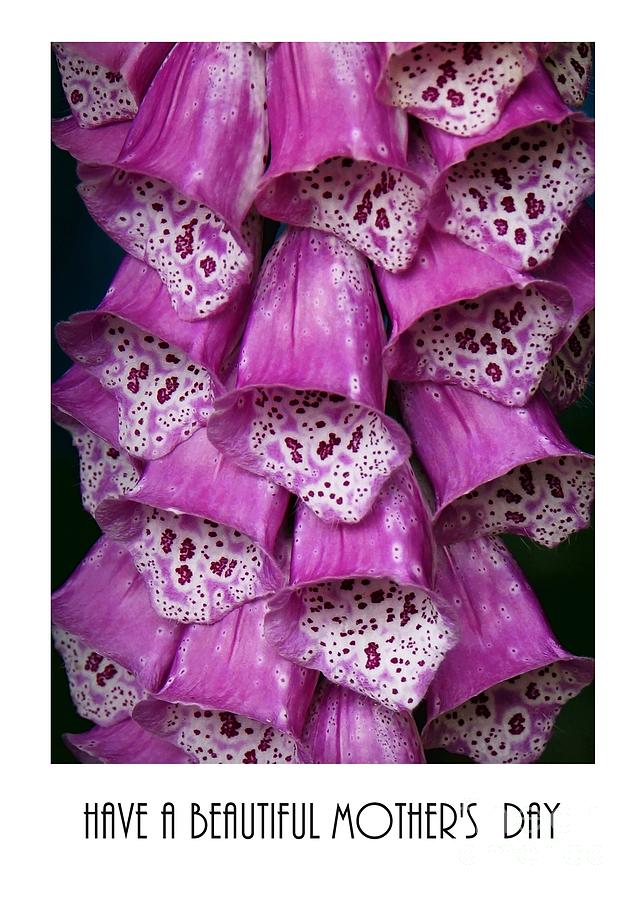 Mothers Day Card - Purple Foxgloves Photograph by Patricia Strand