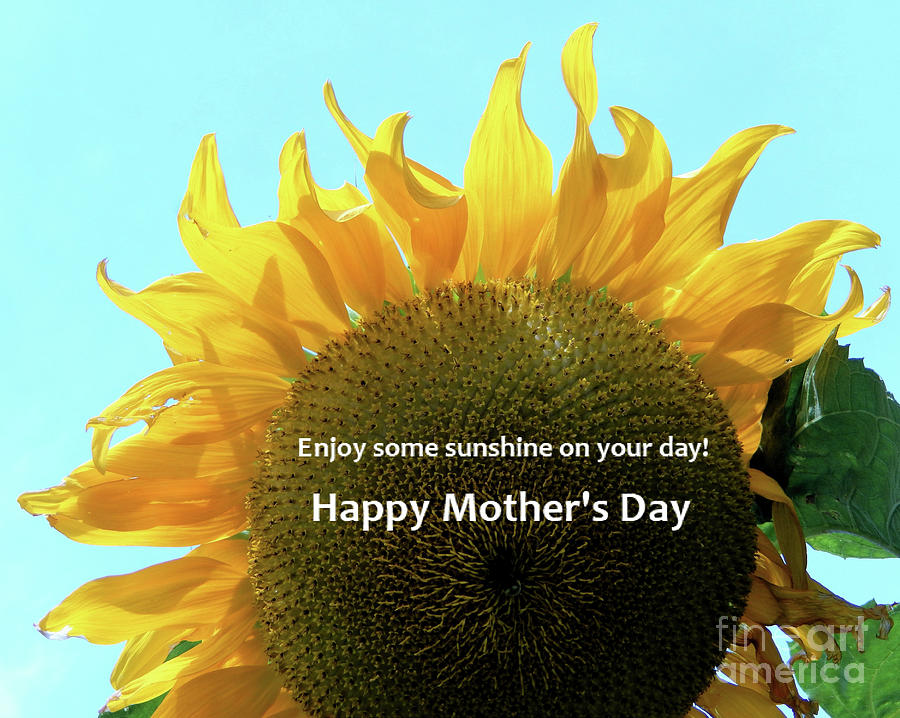 Mothers day Enjoy Some Sunshine Photograph by Sharon Williams Eng