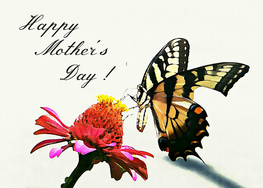 Mothers Day Photograph - Mothers Day Injured Butterfly by Dark Whimsy