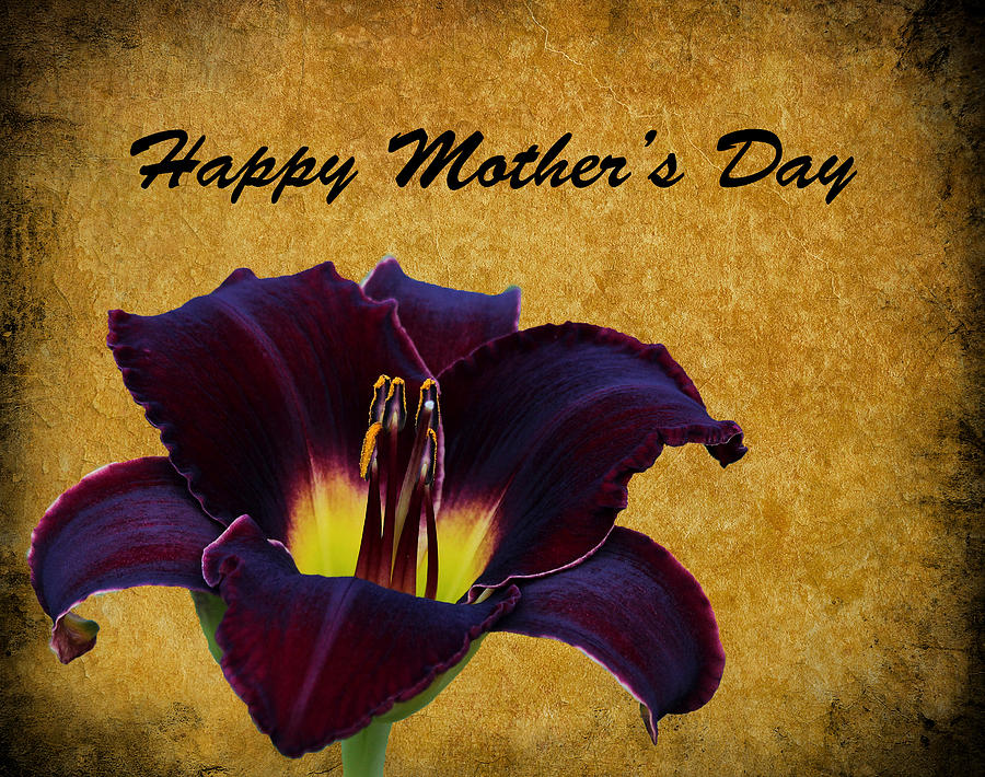 Mothers Day Photograph - Mothers Day Lily by Judy Vincent