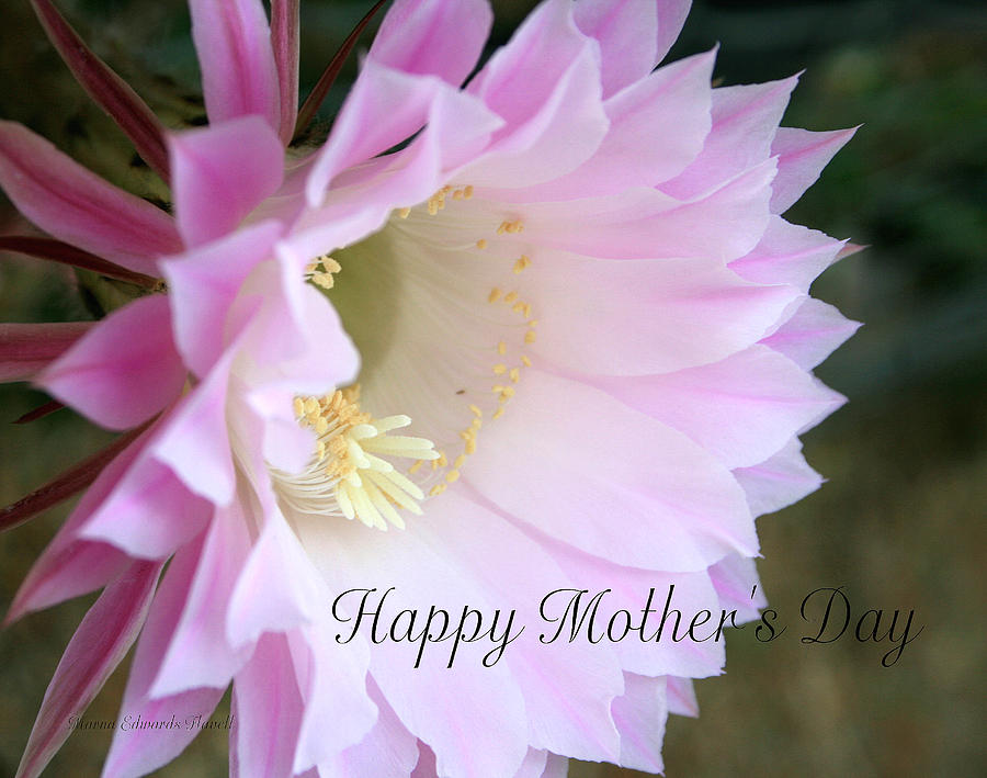 Mothers Day Photograph by Marna Edwards Flavell
