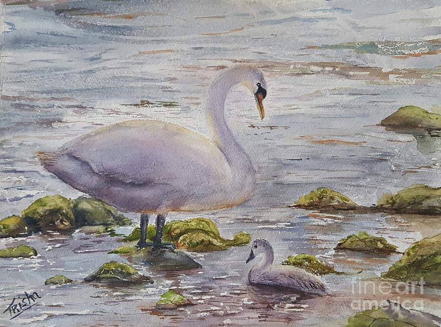 Swan Painting - Mothers Day by Patricia Pushaw