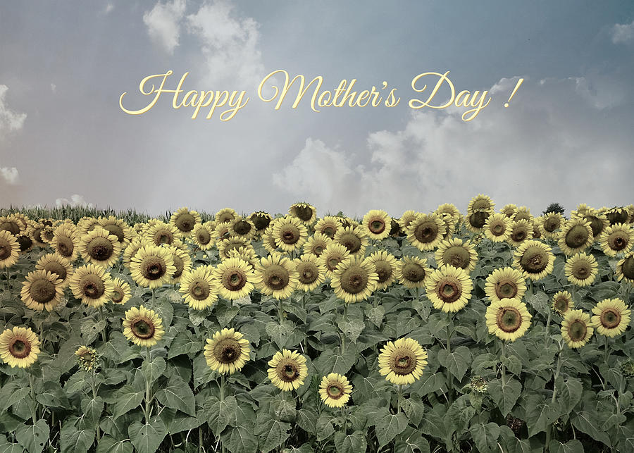 Mothers Day Sunflower Card Photograph by Dark Whimsy