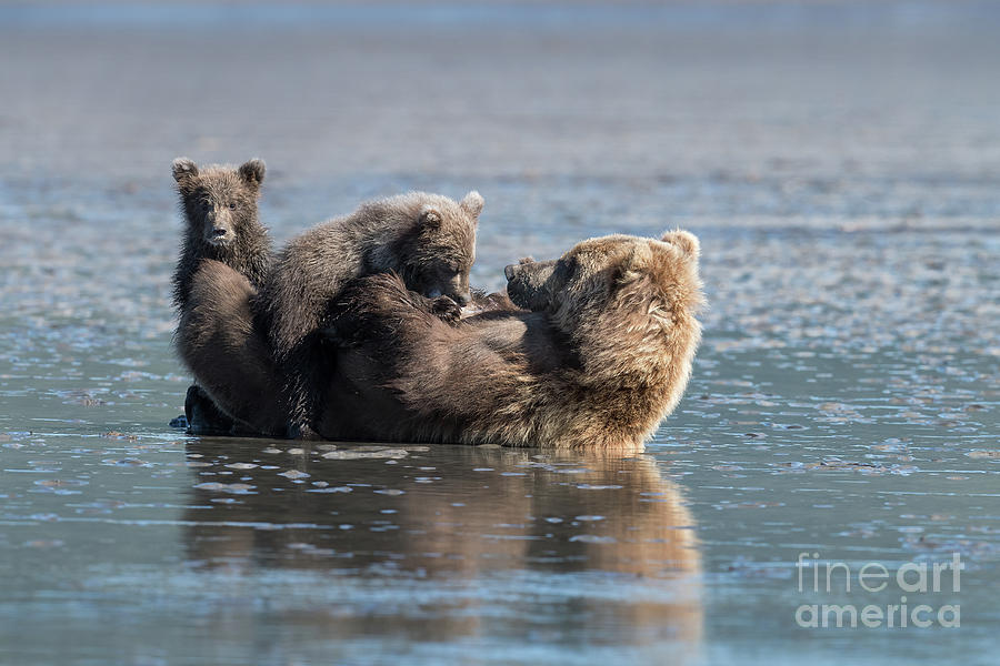 Mothers Love Photograph by Sandra Bronstein