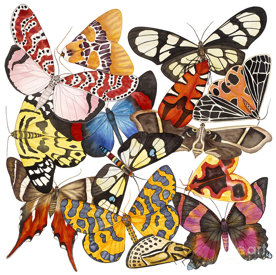 Moths and More Moths Painting by Lucy Arnold