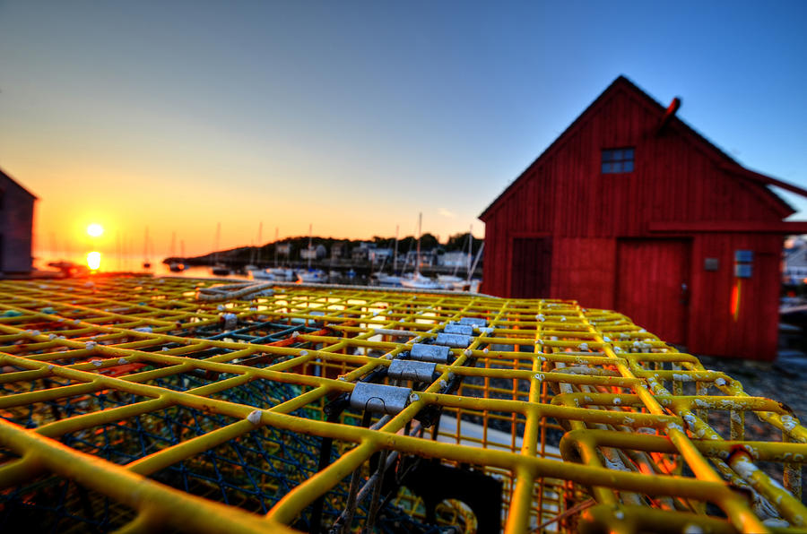 Motif 1 lobster trap sunrise Photograph by Toby McGuire