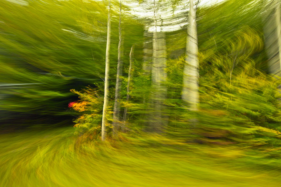 Motion In Time Photograph by James Steele