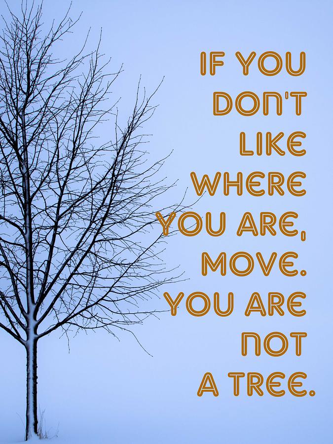 Motivational - if you don't like where you are, move. You are not a ...