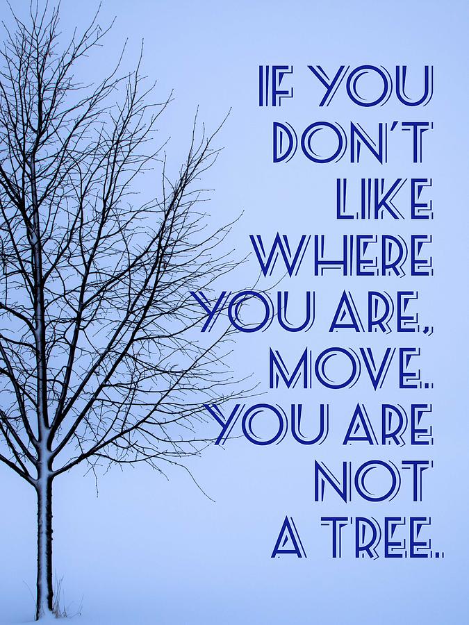 Motivational - if you don't like where you are, move. You are not a ...