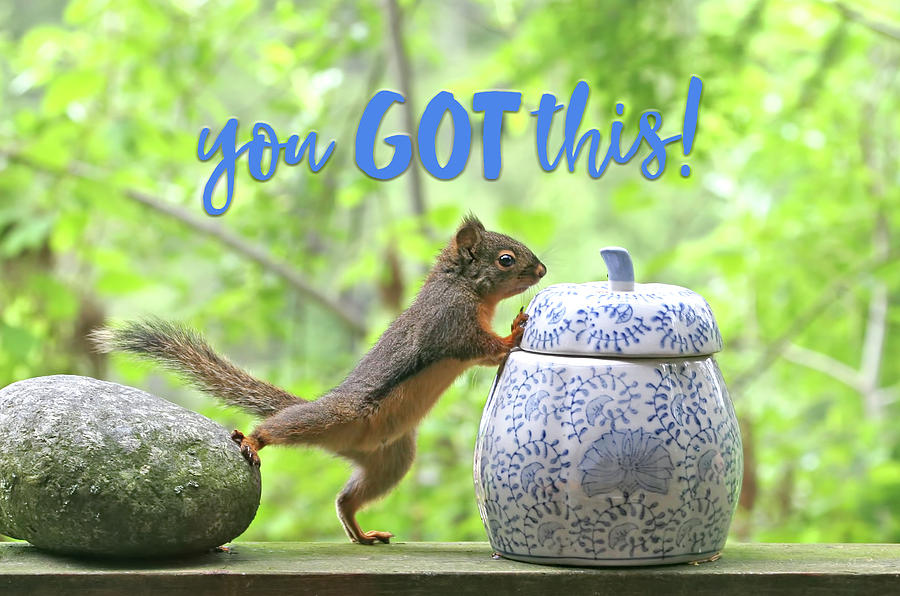 Motivational Squirrel - You Got This Photograph by Peggy Collins