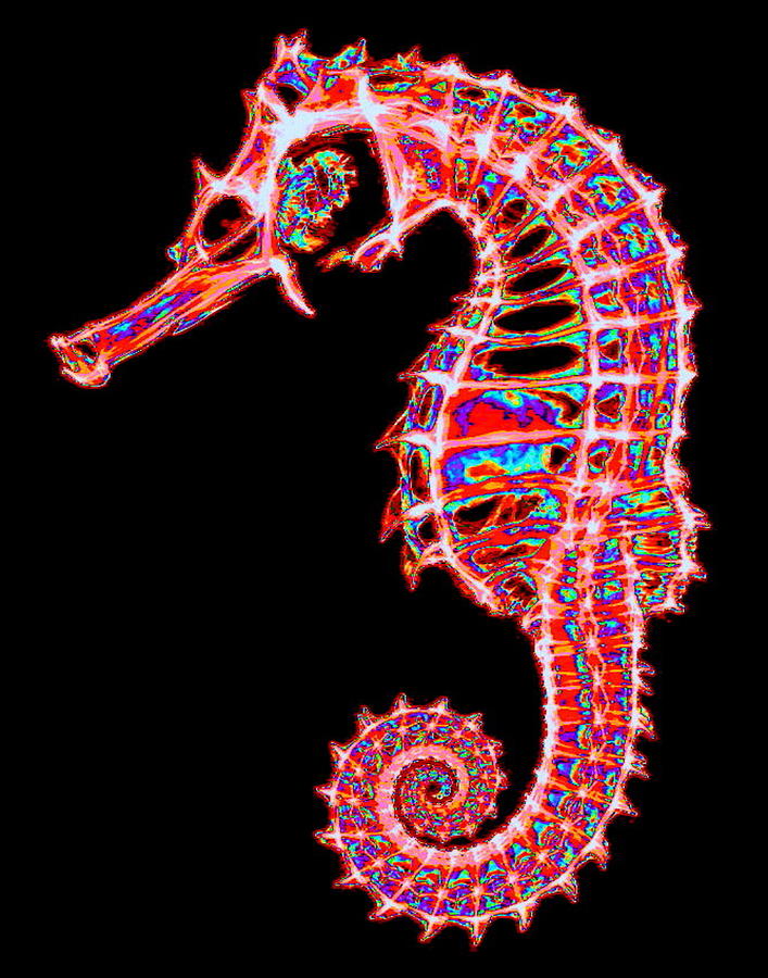 Motley Hippocampus Digital Art by Larry Beat