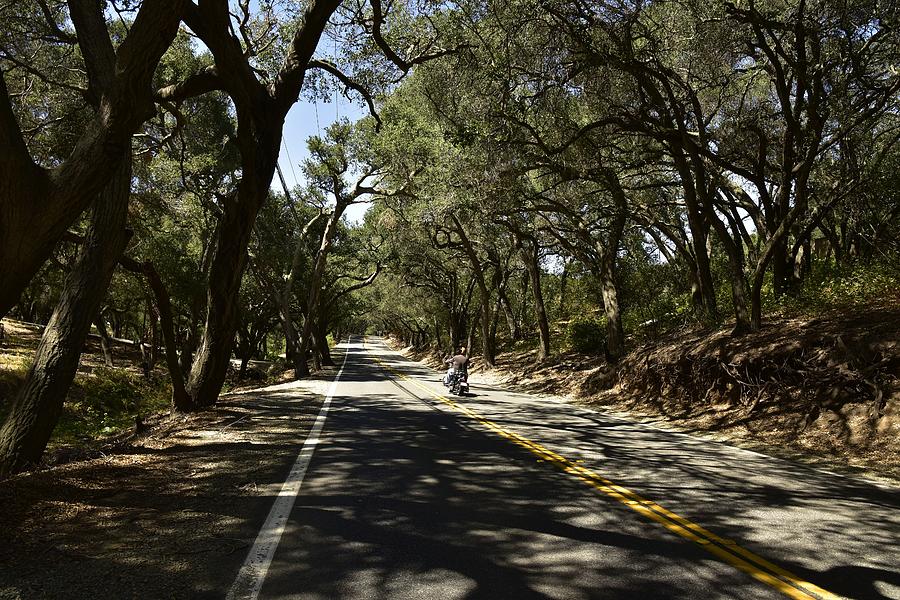 Motorcyclist on Live Oak Canyon Road I Photograph by Linda Brody