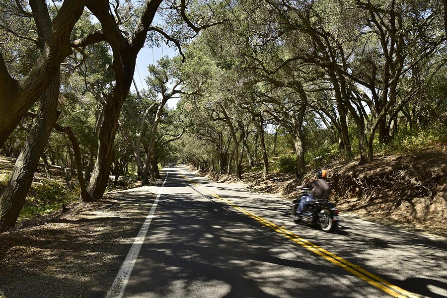 Motorcyclist on Live Oak Canyon Road  Photograph by Linda Brody