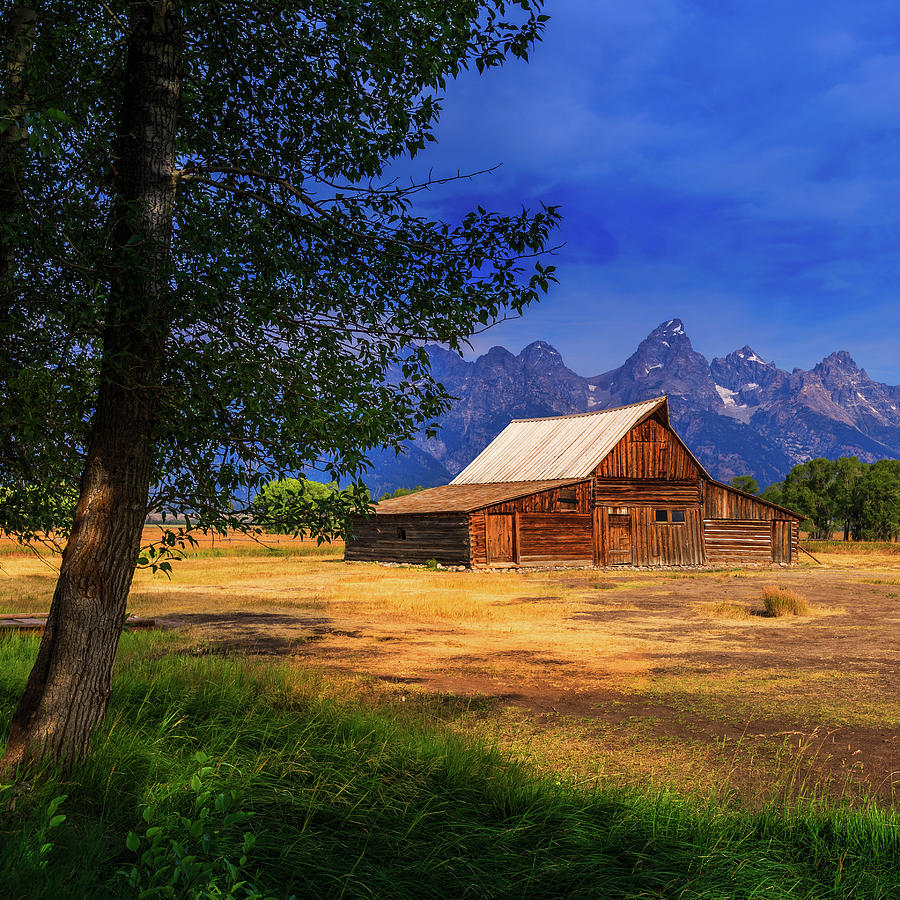 Moulton Barn at Sunrise Photograph by Wesley Blankenship - Fine Art America