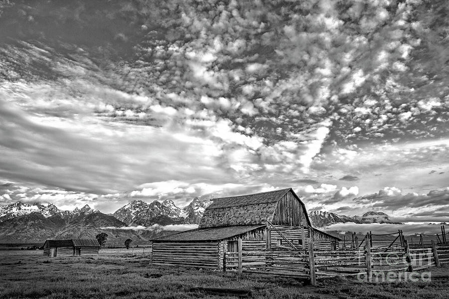 Moulton Barn Grand Teton NP BW Photograph by Sonya Lang