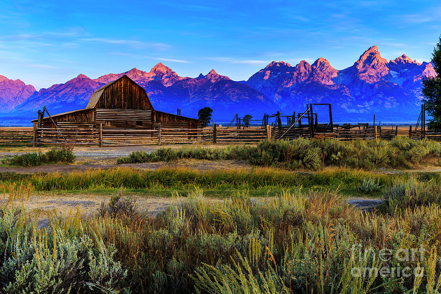 Moulton Barn in Jackson Hole Photograph by Ben Graham
