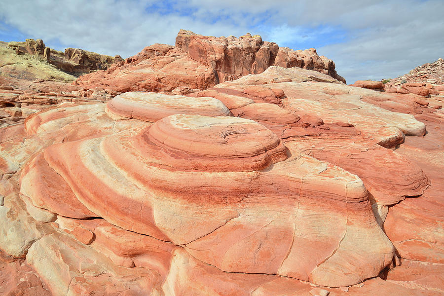 Mounds of Color in Valley of Fire Photograph by Ray Mathis