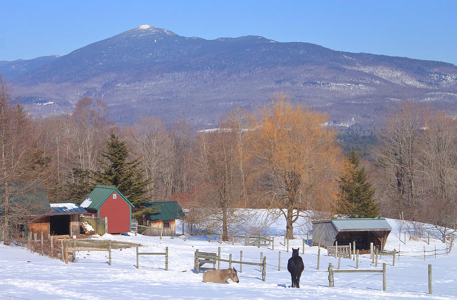 Mount Abraham and Winter Farm Green Mountains Photograph by John Burk