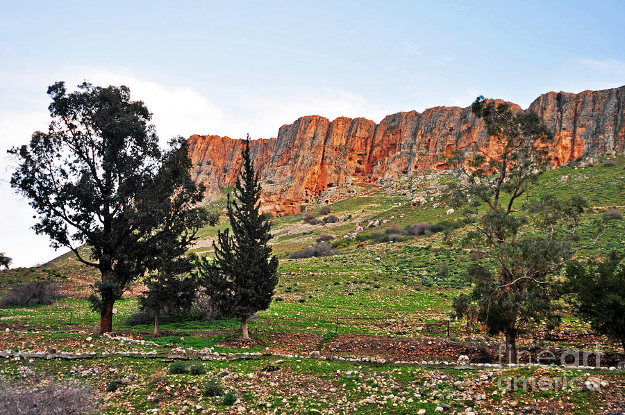 Mount Arbel 2 Photograph by Lydia Holly