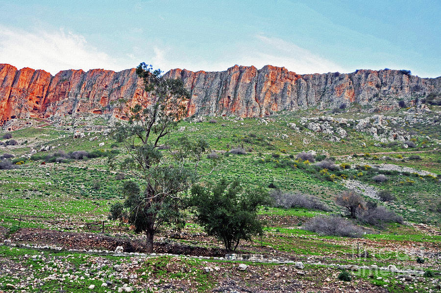 Mount Arbel 4 Photograph by Lydia Holly