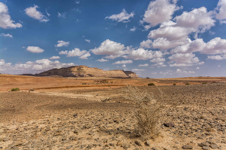 Mount Ardon and Ramon crater Digital Art by Tsafreer Bernstein - Fine ...