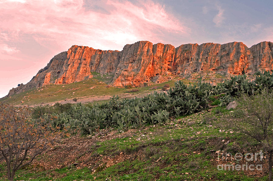 Mount Arbel Photograph by Lydia Holly