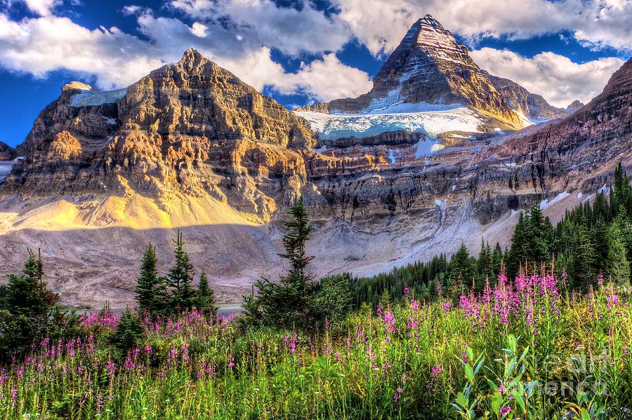 Mount Assiniboine Photograph by DJ MacIsaac - Fine Art America