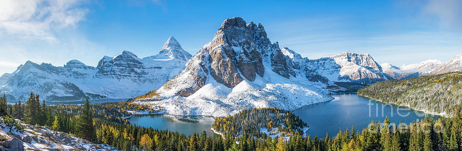 Mount Assiniboine Panorama Photograph by Michael Wheatley
