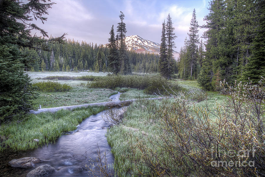 Bend Photograph - Mount Bachelor from Soda Creek at Sunrise by Twenty Two North Photography