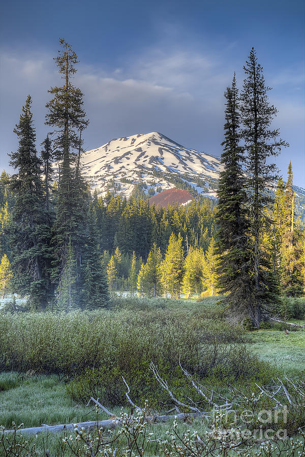 Bend Photograph - Mount Bachelor from Todd lake by Twenty Two North Photography